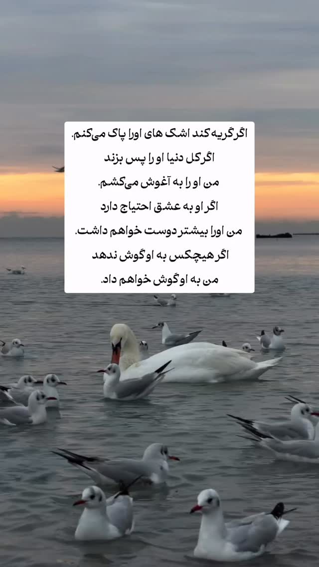  جدید ترین استوری اینستاگرام ايمان سرورپور