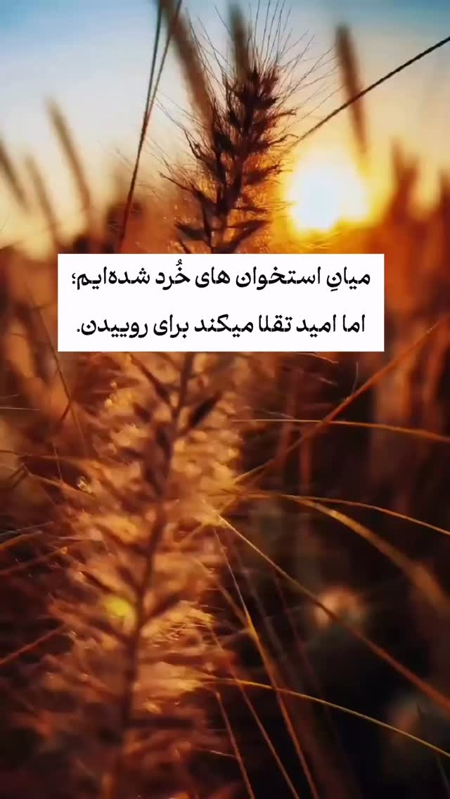  جدید ترین استوری اینستاگرام ايمان سرورپور