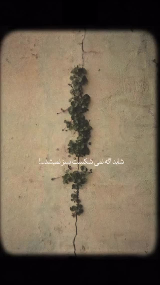  جدید ترین استوری اینستاگرام ايمان سرورپور