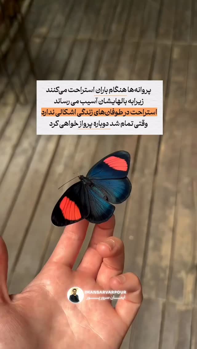 جدید ترین استوری اینستاگرام ايمان سرورپور