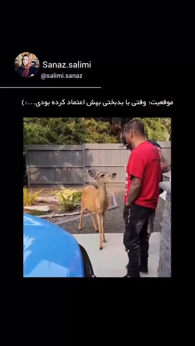  جدید ترین استوری اینستاگرام آیسان بالنده