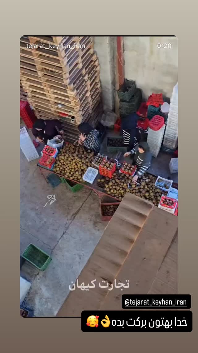  جدید ترین استوری اینستاگرام آیسان بالنده