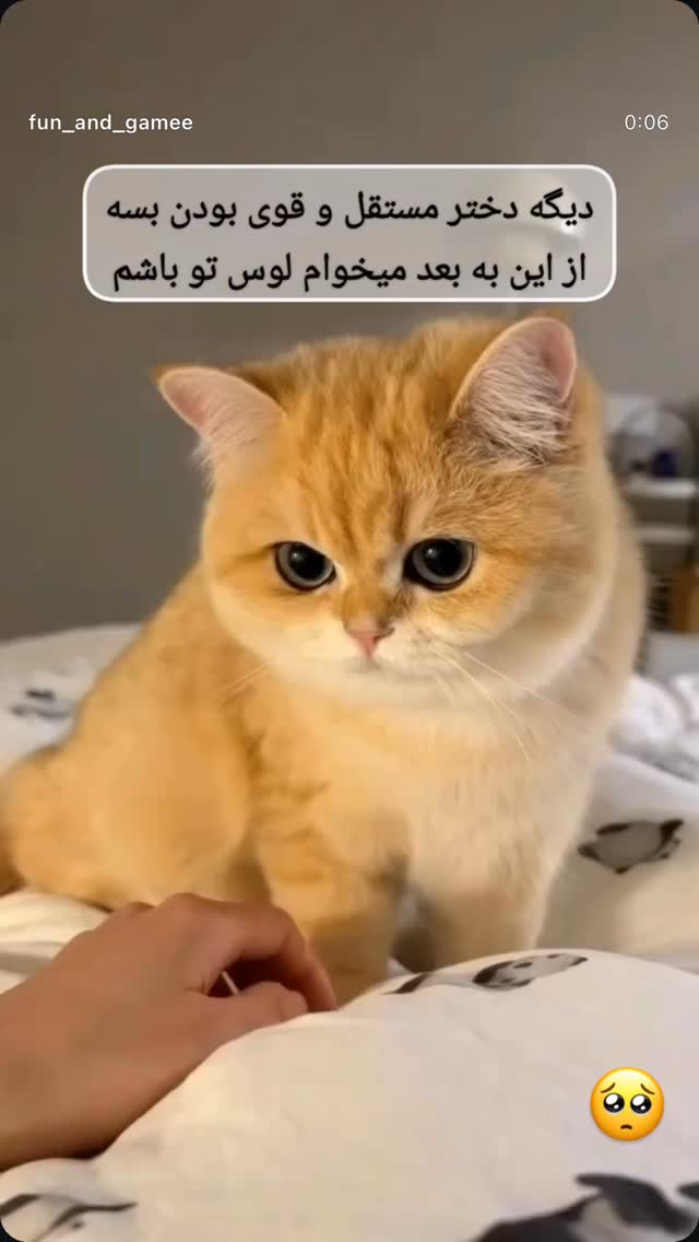  جدید ترین استوری اینستاگرام آیسان بالنده