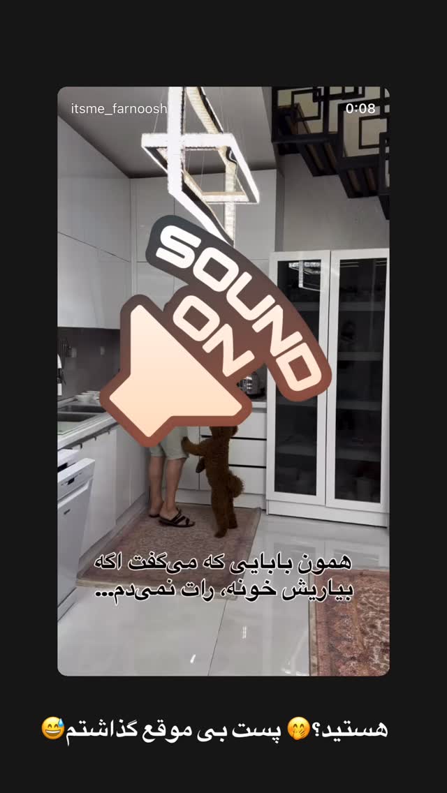  جدید ترین استوری اینستاگرام فرنوش