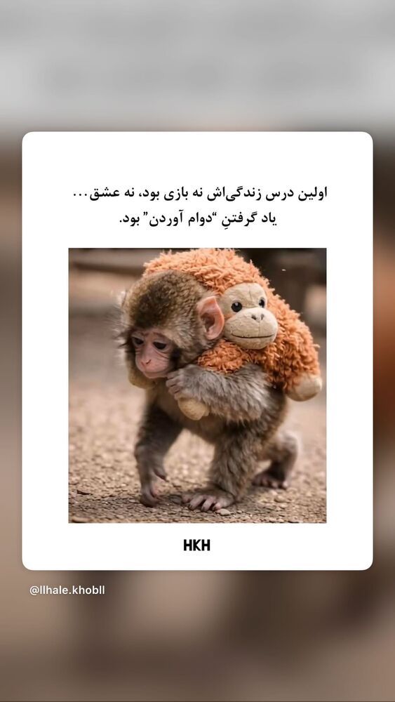  جدید ترین استوری اینستاگرام فرنوش
