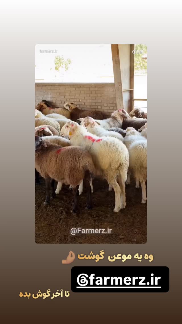  جدید ترین استوری اینستاگرام رها شاهی