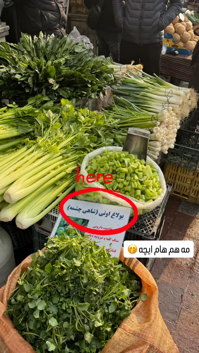  جدید ترین استوری اینستاگرام رها شاهی