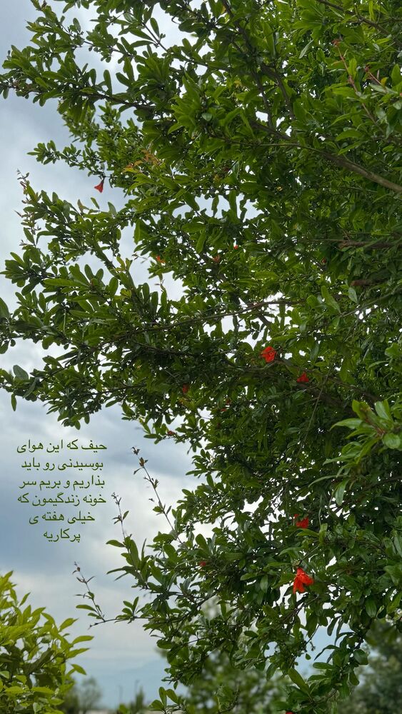  جدید ترین استوری اینستاگرام یاسمین کریمی