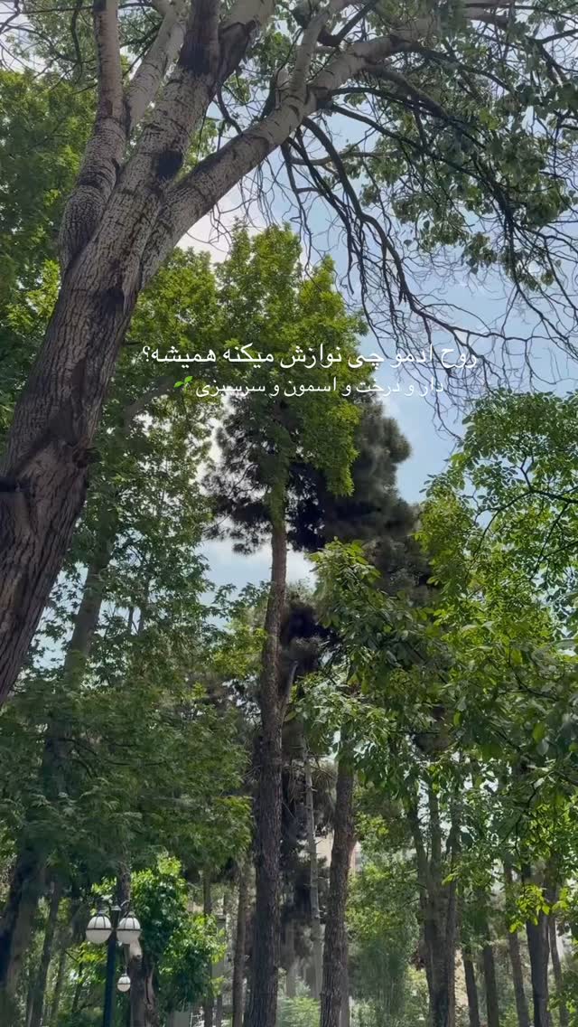  جدید ترین استوری اینستاگرام یاسمین کریمی