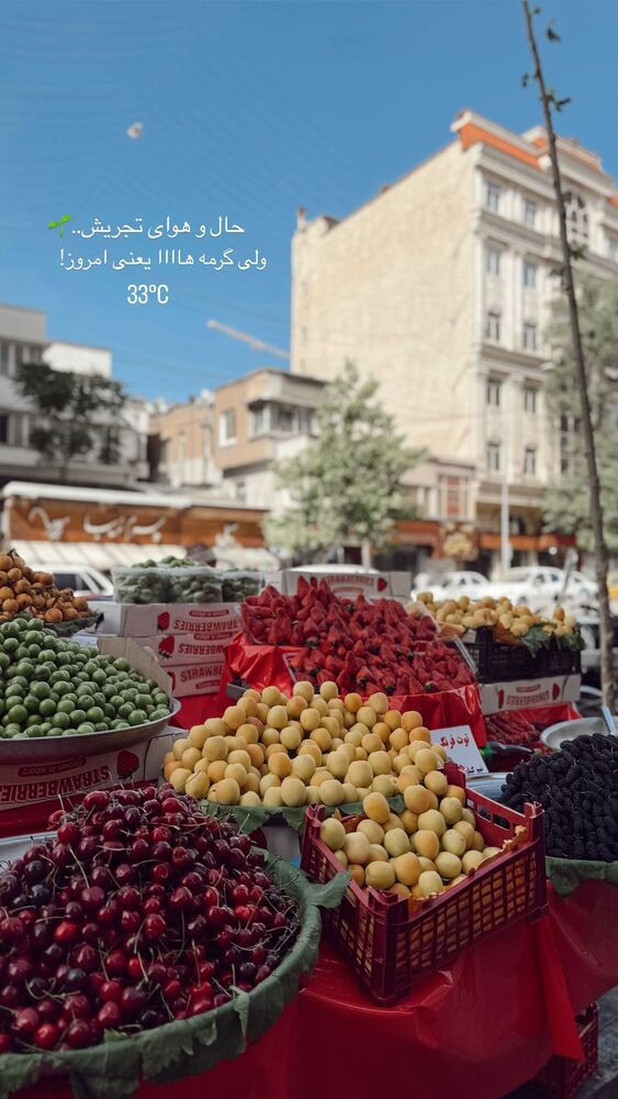  جدید ترین استوری اینستاگرام یاسمین کریمی