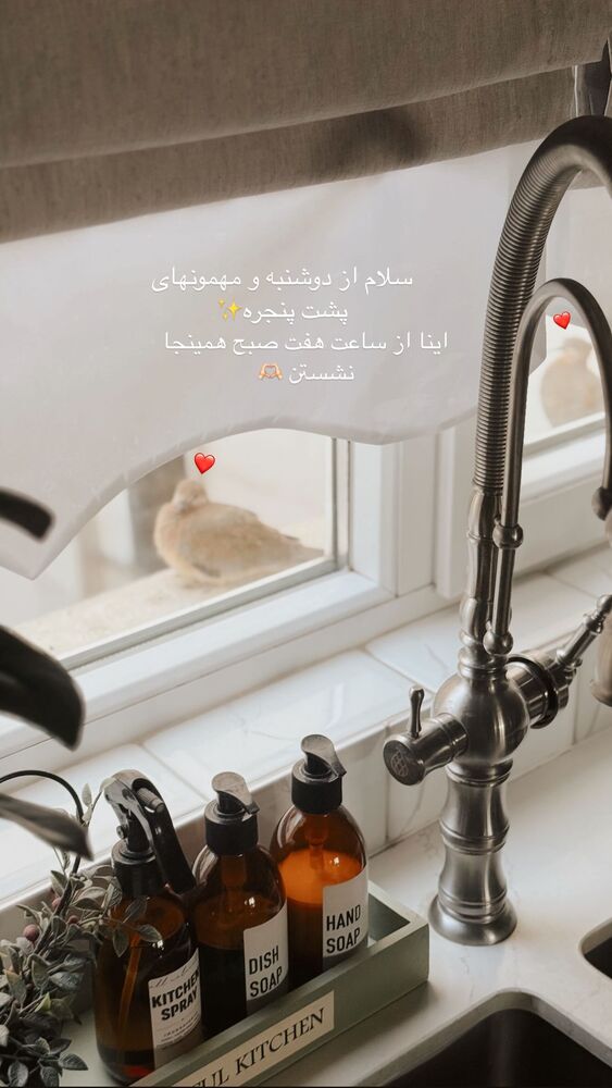 جدید ترین استوری اینستاگرام یاسمین کریمی