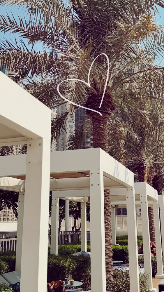  جدید ترین استوری اینستاگرام یاسمین کریمی