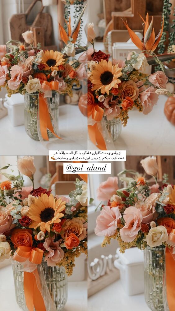  جدید ترین استوری اینستاگرام یاسمین کریمی