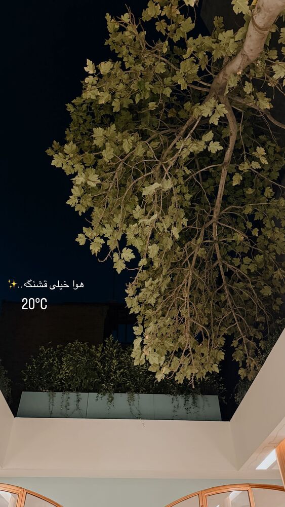  جدید ترین استوری اینستاگرام یاسمین کریمی