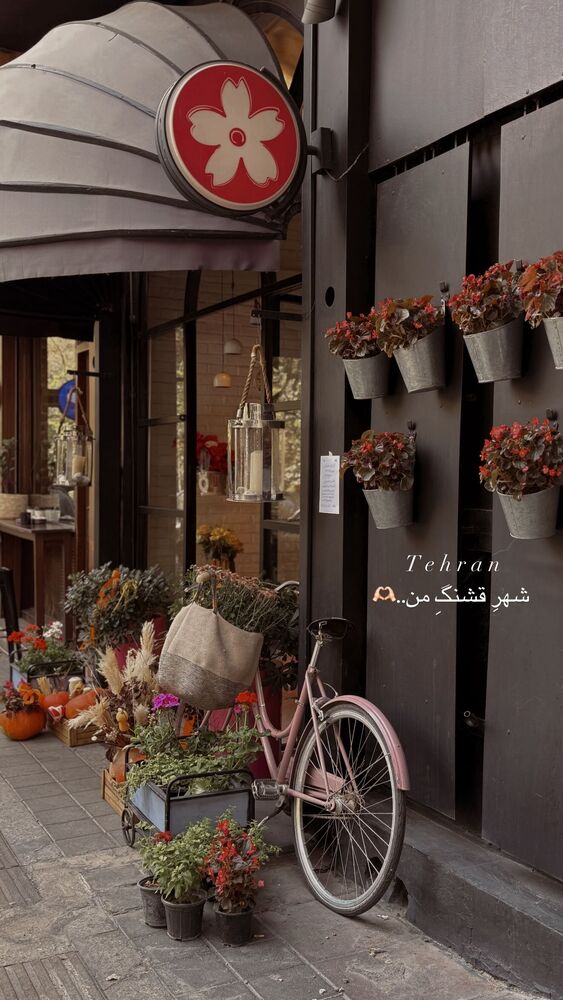  جدید ترین استوری اینستاگرام یاسمین کریمی