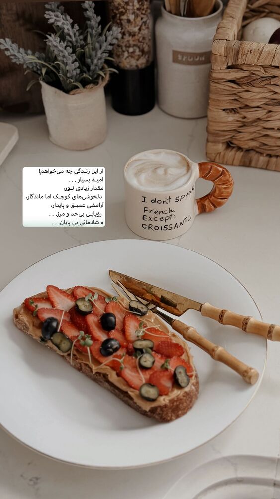  جدید ترین استوری اینستاگرام یاسمین کریمی