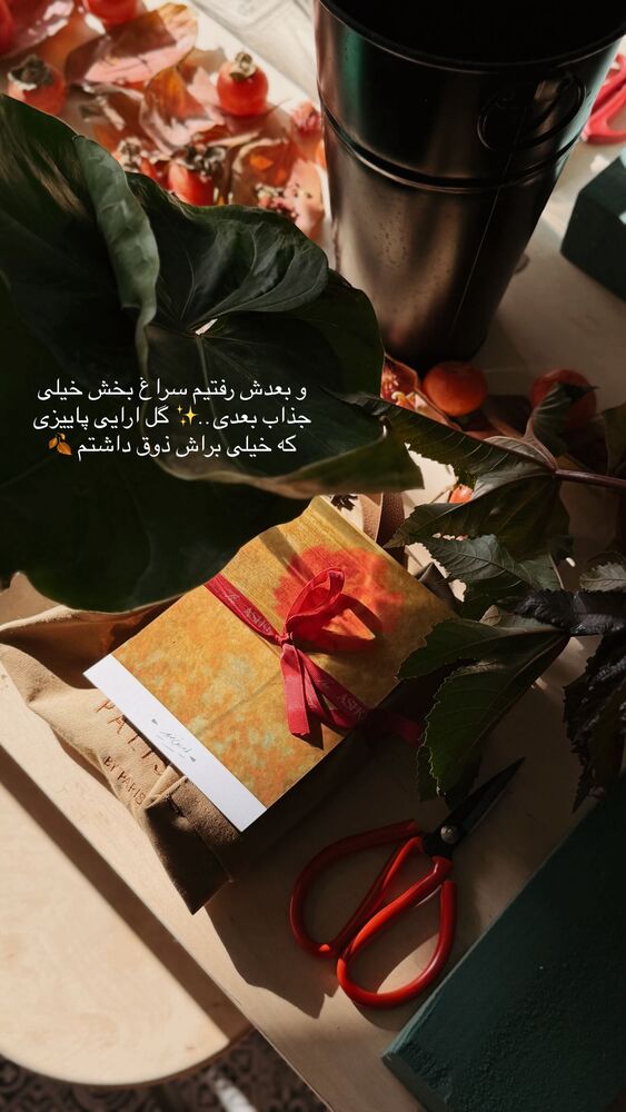  جدید ترین استوری اینستاگرام یاسمین کریمی