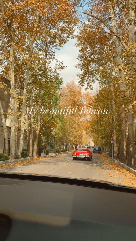  جدید ترین استوری اینستاگرام یاسمین کریمی