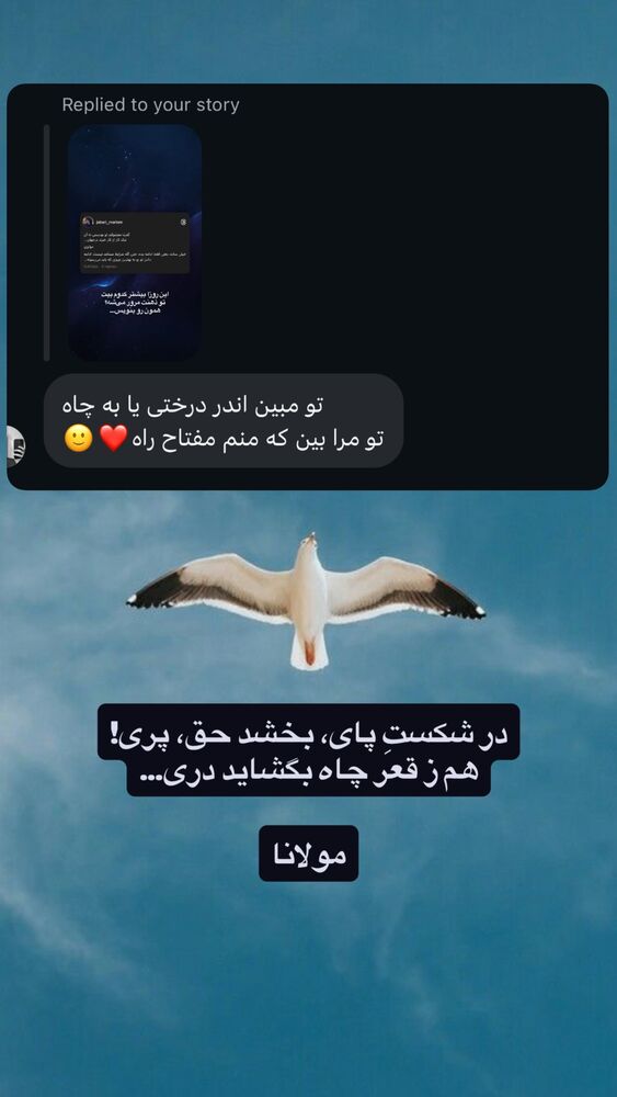  جدید ترین استوری اینستاگرام مریم جباری