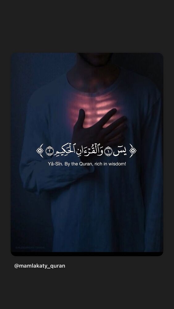  جدید ترین استوری اینستاگرام داوود کیم