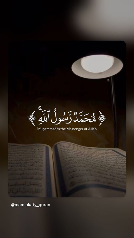  جدید ترین استوری اینستاگرام داوود کیم