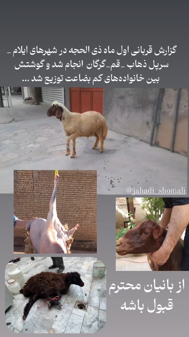  جدید ترین استوری اینستاگرام jahadi_shomali