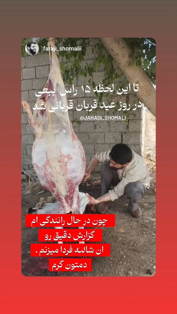  جدید ترین استوری اینستاگرام jahadi_shomali