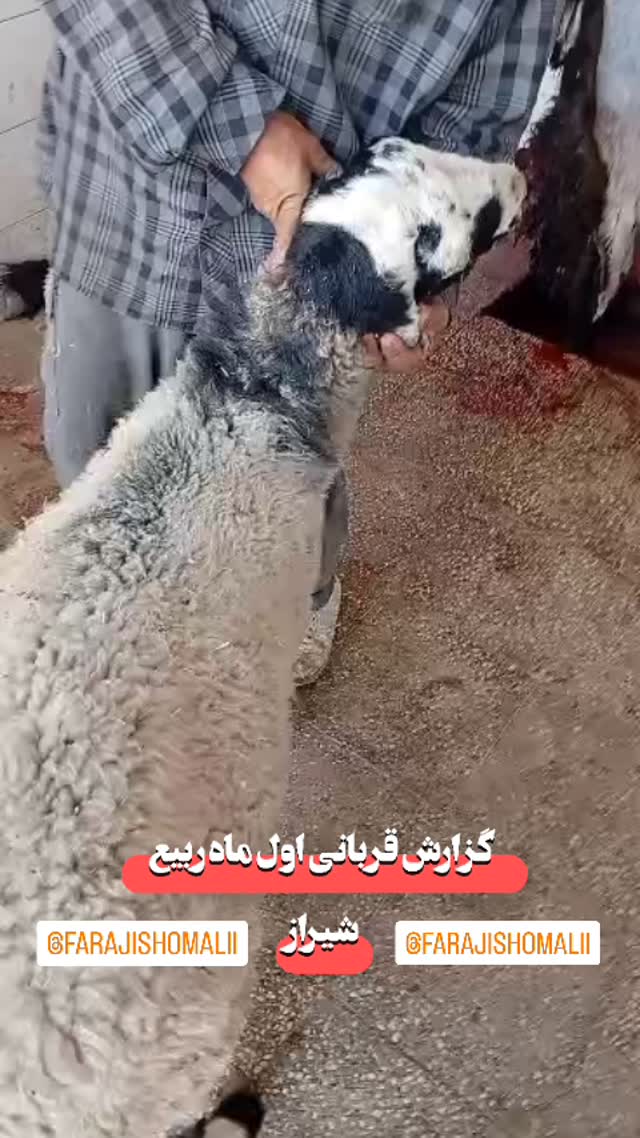  جدید ترین استوری اینستاگرام jahadi_shomali