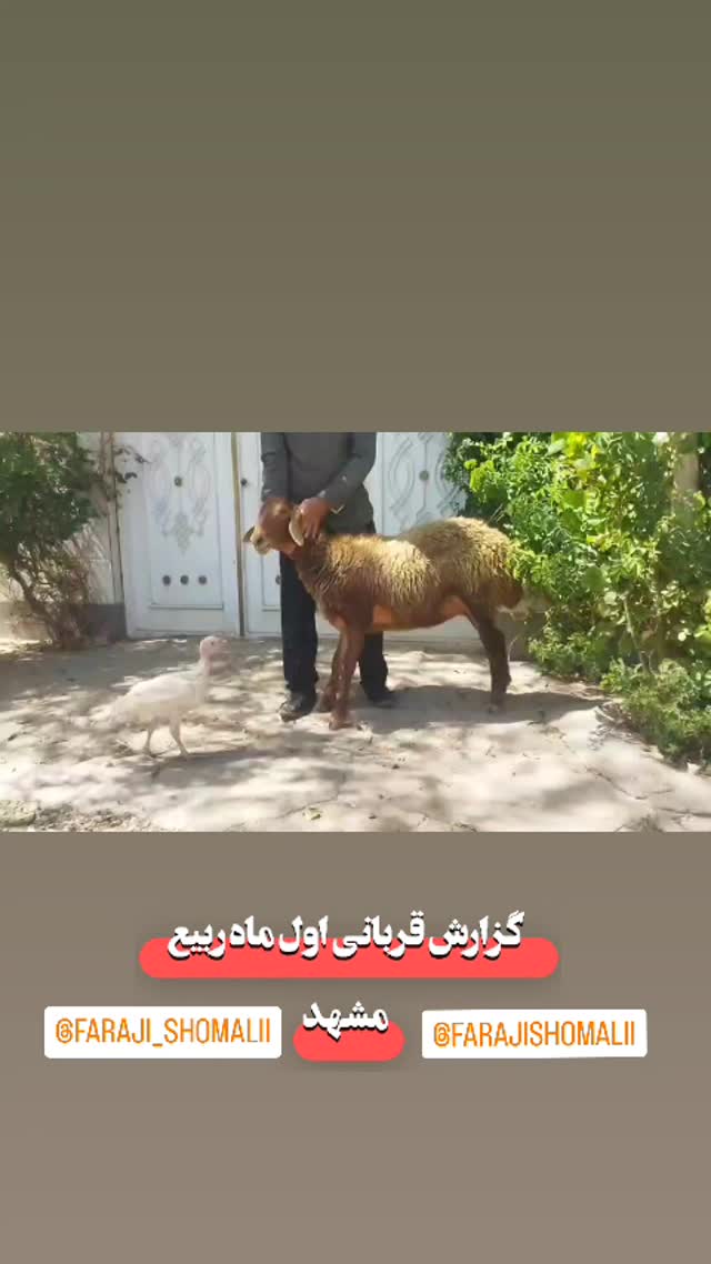  جدید ترین استوری اینستاگرام jahadi_shomali