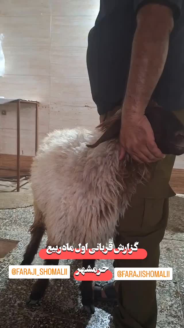  جدید ترین استوری اینستاگرام jahadi_shomali