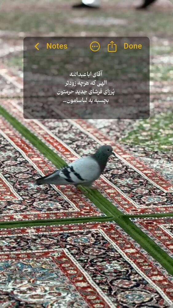  جدید ترین استوری اینستاگرام jahadi_shomali