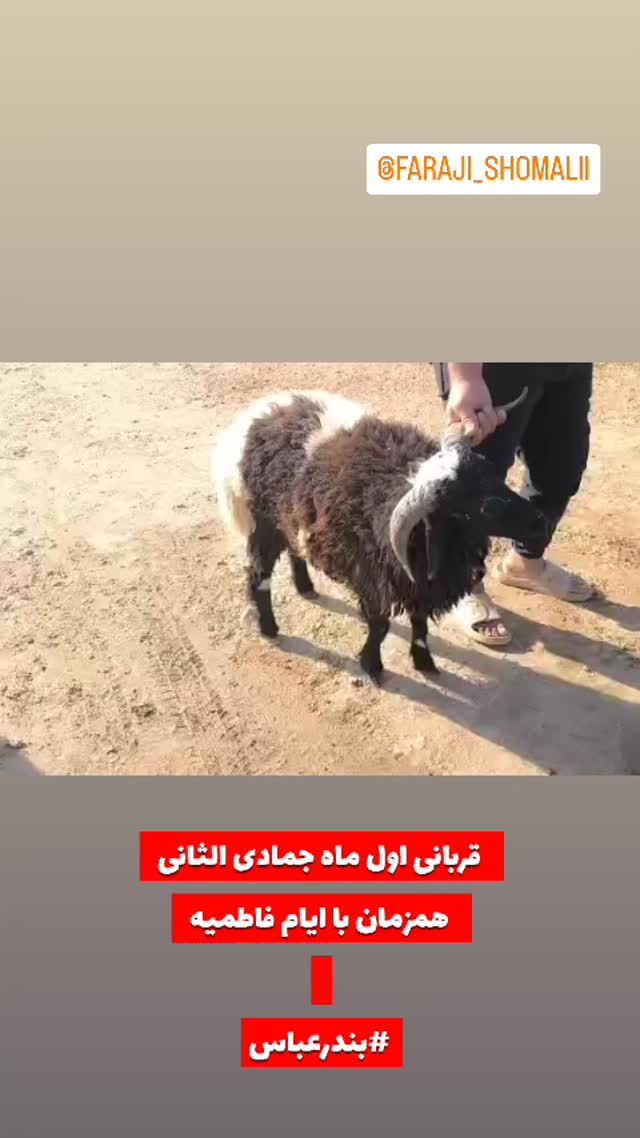  جدید ترین استوری اینستاگرام jahadi_shomali