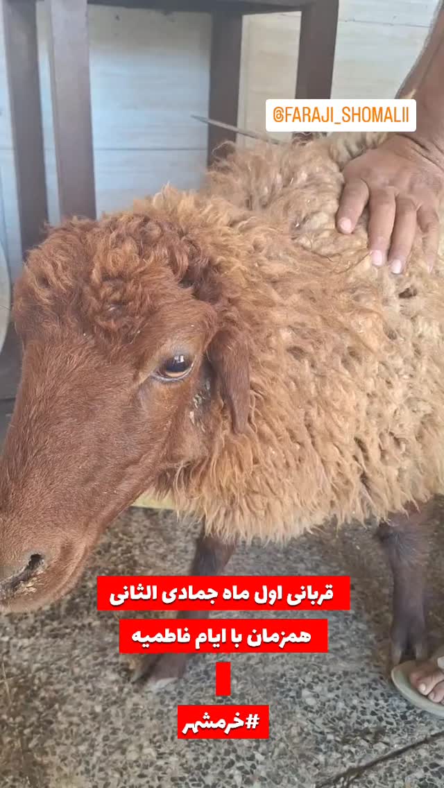  جدید ترین استوری اینستاگرام jahadi_shomali