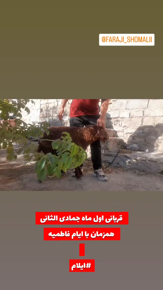  جدید ترین استوری اینستاگرام jahadi_shomali