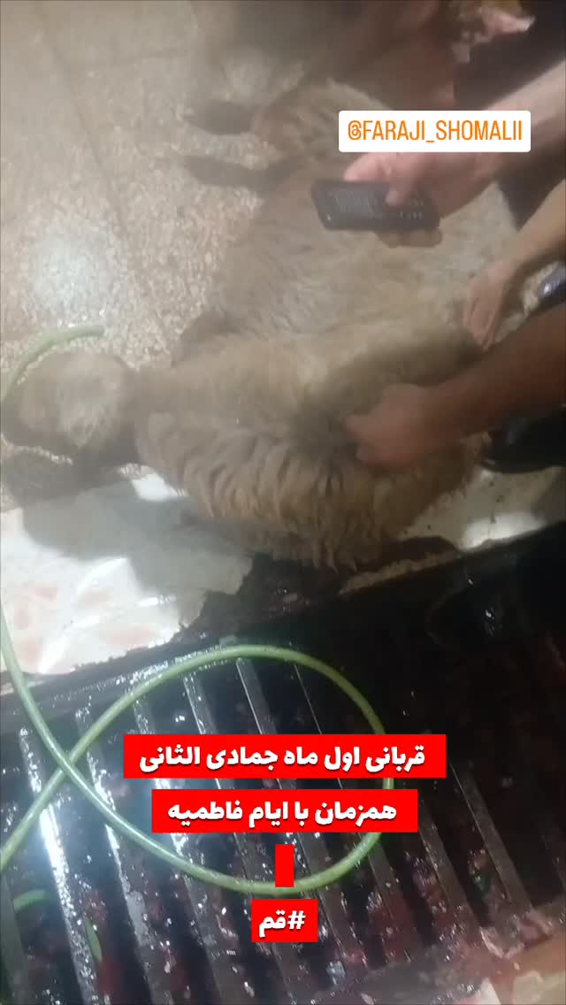  جدید ترین استوری اینستاگرام jahadi_shomali