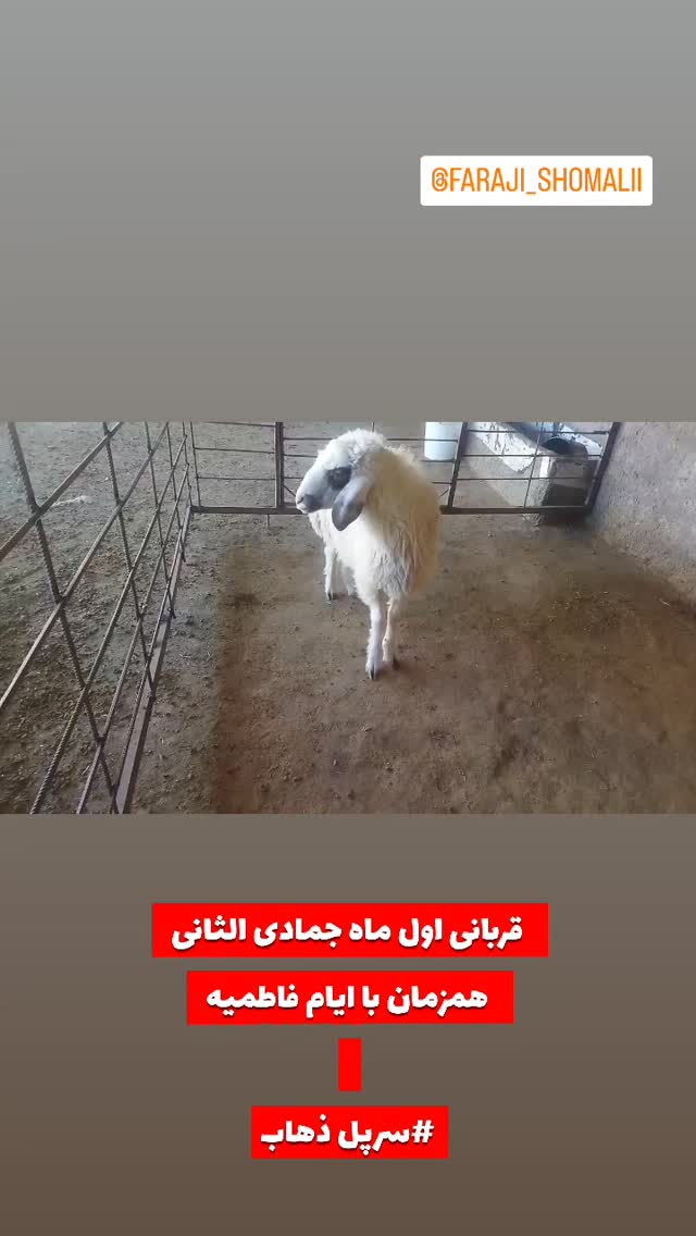  جدید ترین استوری اینستاگرام jahadi_shomali