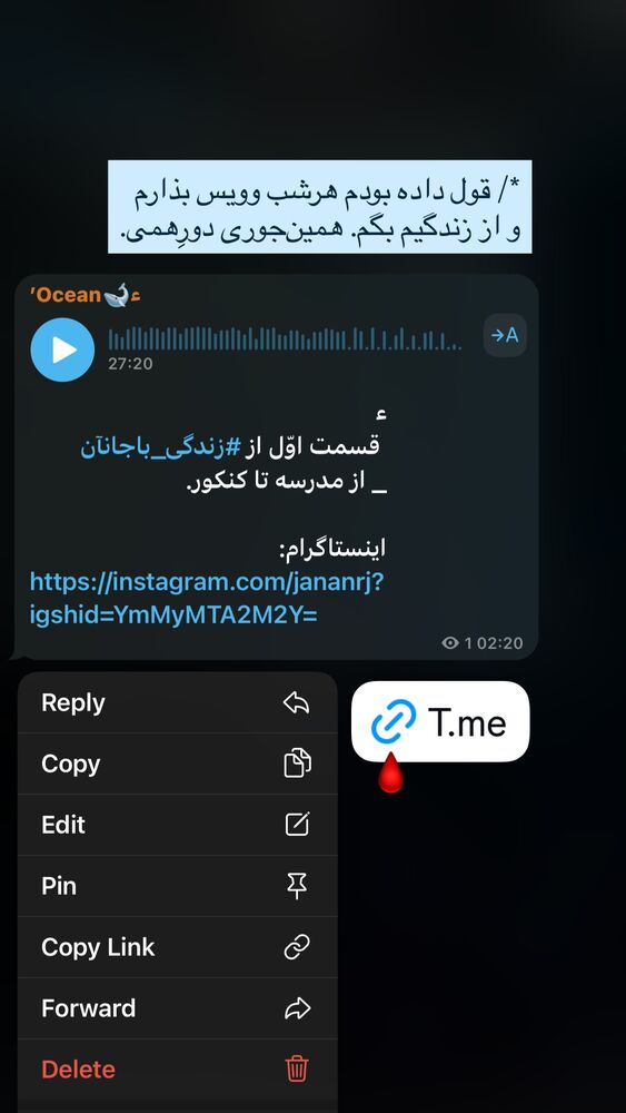  جدید ترین استوری اینستاگرام جانان