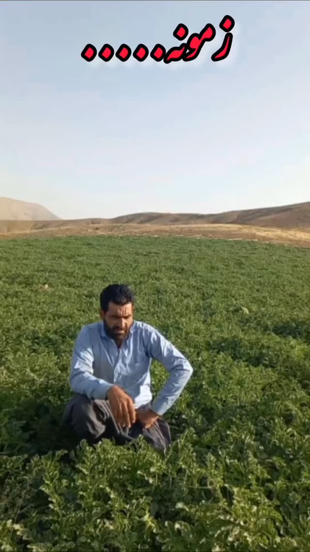  جدید ترین استوری اینستاگرام جواد ایل سعادتمند