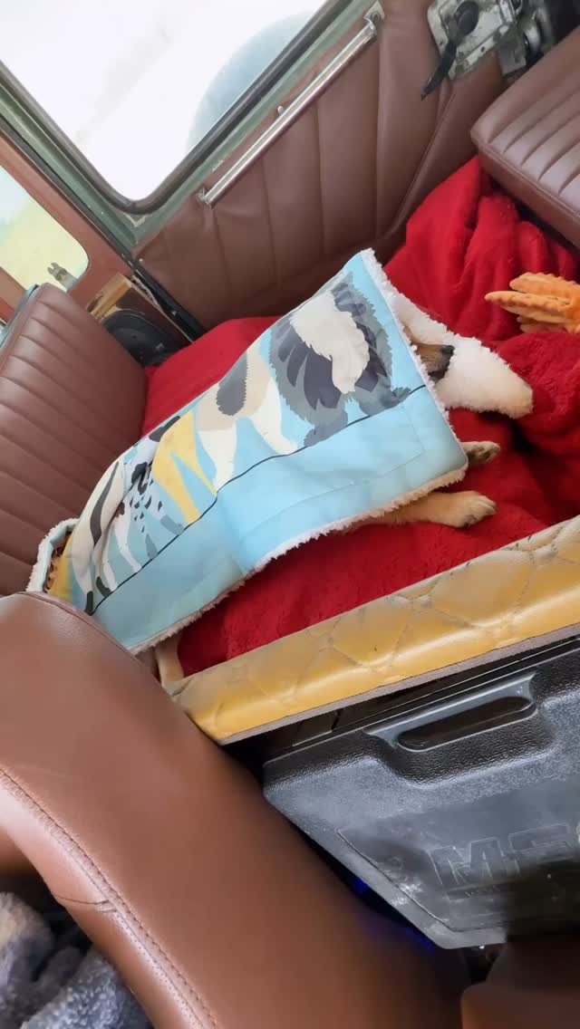  جدید ترین استوری اینستاگرام جواد خواجوی