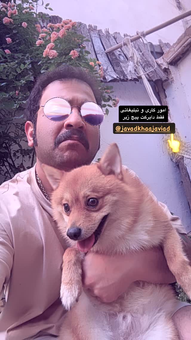  جدید ترین استوری اینستاگرام جواد خواجوی