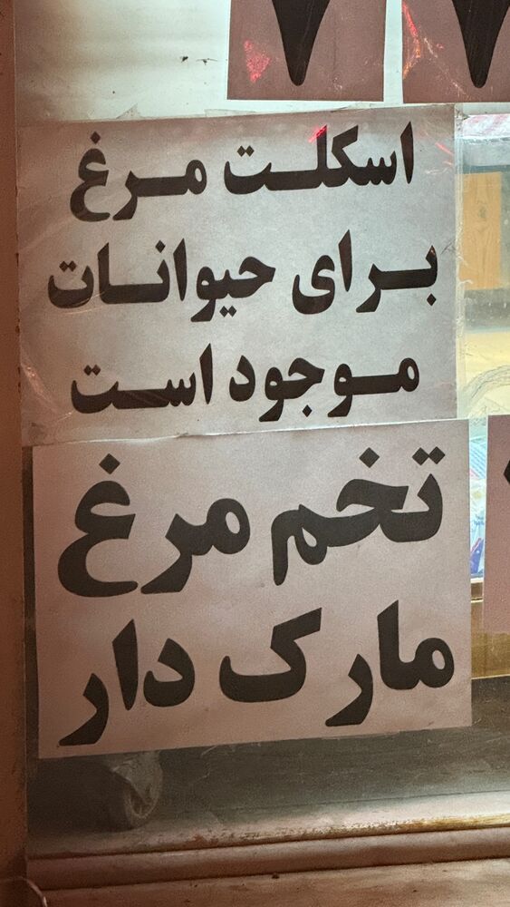  جدید ترین استوری اینستاگرام جواد خواجوی
