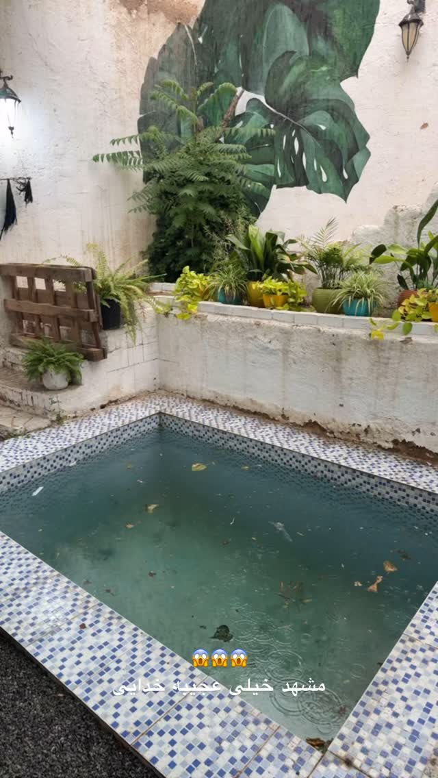  جدید ترین استوری اینستاگرام جواد خواجوی