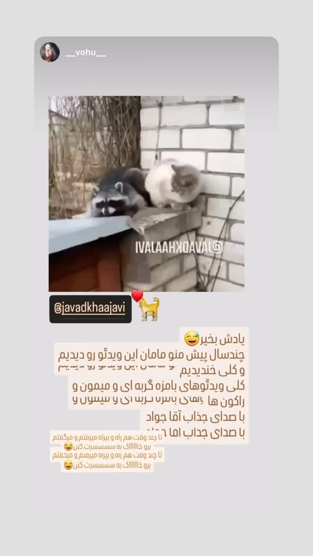  جدید ترین استوری اینستاگرام جواد خواجوی