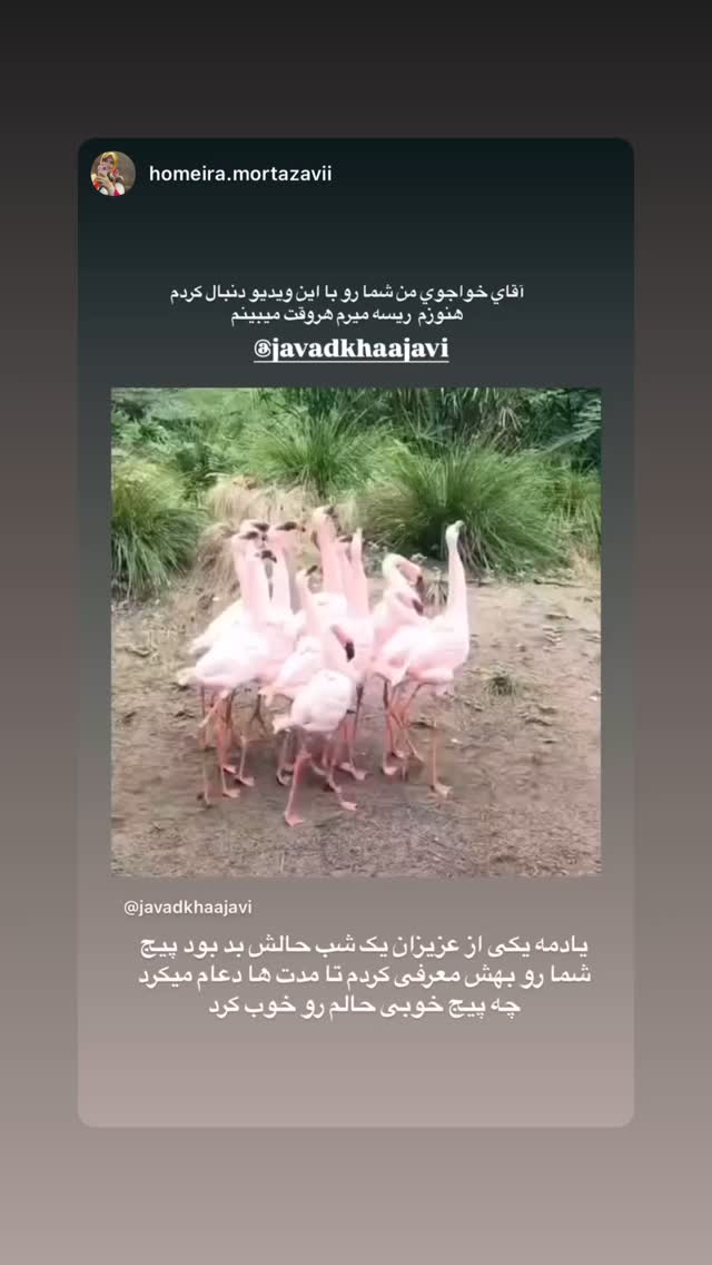  جدید ترین استوری اینستاگرام جواد خواجوی