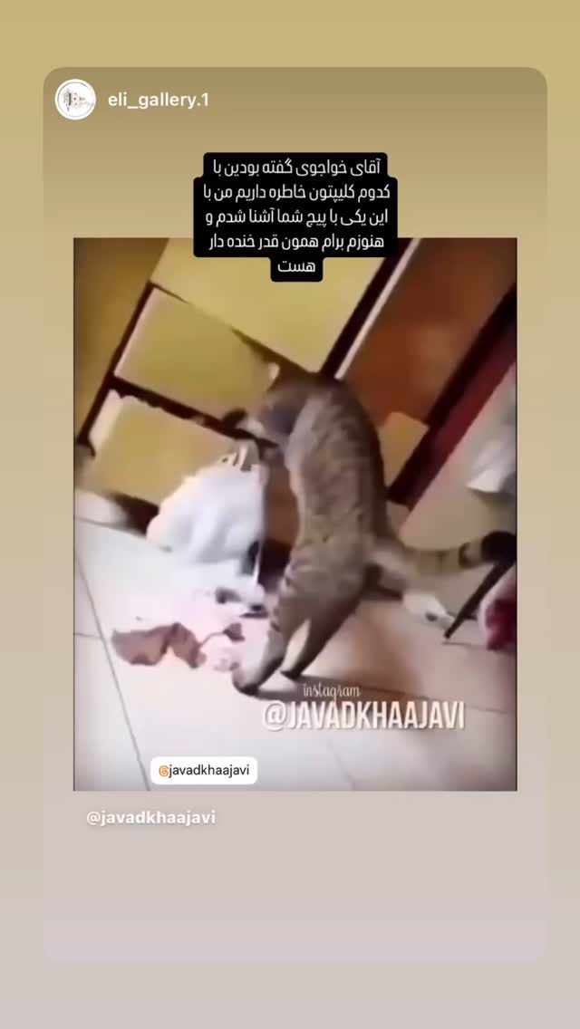  جدید ترین استوری اینستاگرام جواد خواجوی