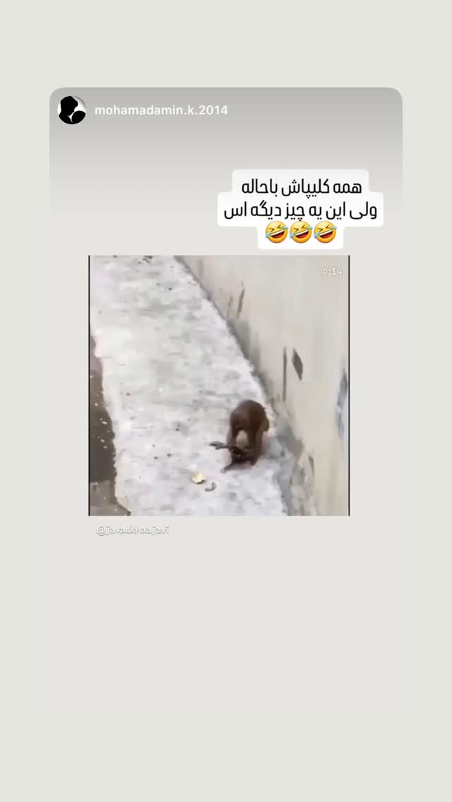  جدید ترین استوری اینستاگرام جواد خواجوی