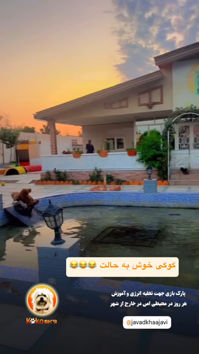  جدید ترین استوری اینستاگرام جواد خواجوی