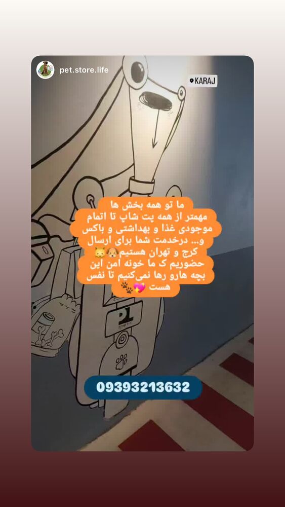  جدید ترین استوری اینستاگرام جواد خواجوی