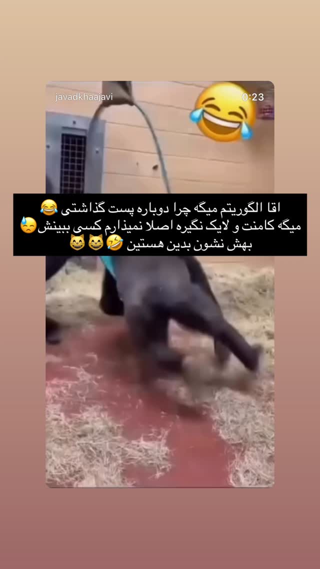  جدید ترین استوری اینستاگرام جواد خواجوی
