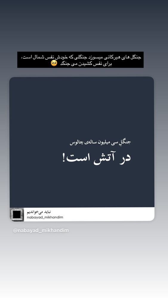 جدید ترین استوری اینستاگرام جوانه دلشاد